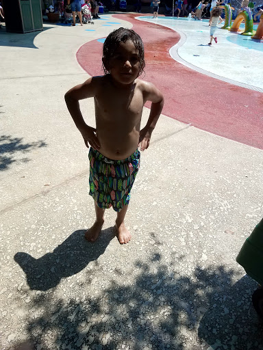 Zoo «Houston Zoo - West Gate», reviews and photos, 1467 Cambridge St, Houston, TX 77030, USA