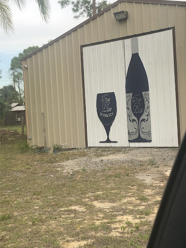 Winery «True Blue Winery», reviews and photos, 604 Pink Apartment Rd, Davenport, FL 33837, USA