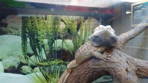 Pet Store «Crystal Clear Family Pets», reviews and photos, 33 High St, Ellsworth, ME 04605, USA