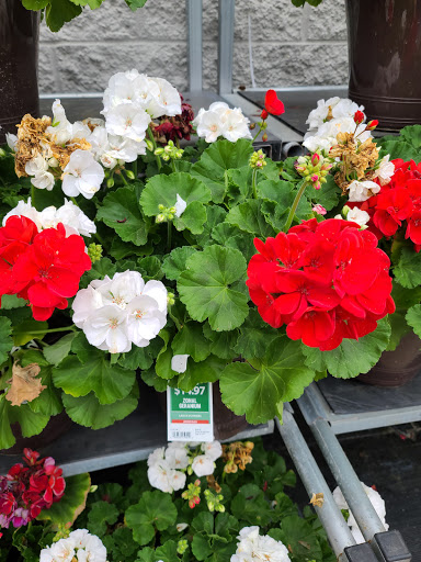 Department Store «Walmart Supercenter», reviews and photos, 3115 Edgar Brown Dr, West Orange, TX 77630, USA