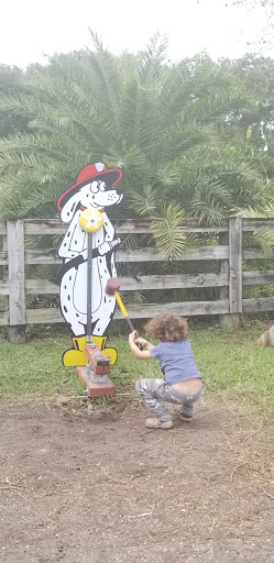 Event Venue «Club Lake Plantation Wedding Venue», reviews and photos, 3403 Rock Springs Rd, Apopka, FL 32712, USA