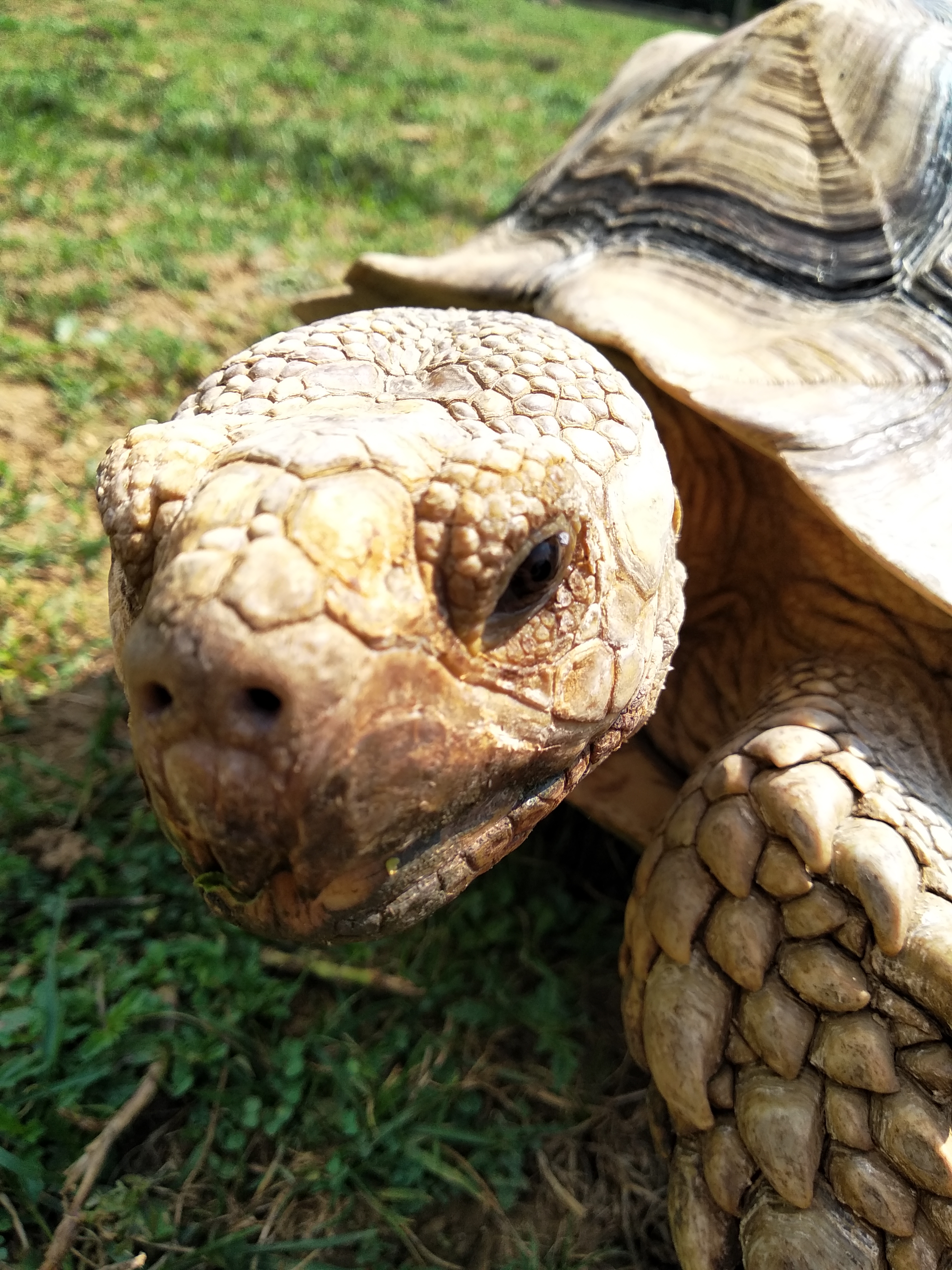 Photo n° 2 de l'avis de CdRik. fait le 16/09/2019 à 12:11