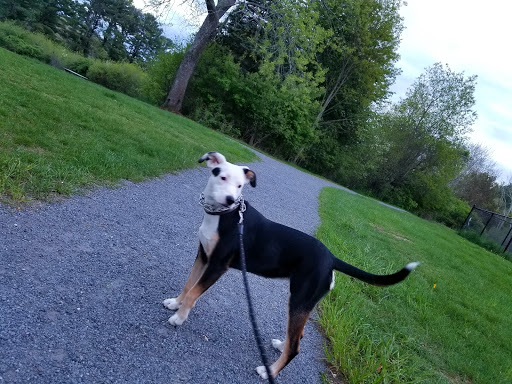 Farm «Pequitside Farm», reviews and photos, 79 Pleasant St, Canton, MA 02021, USA