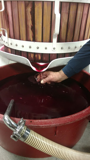 Winery «wineUdesign», reviews and photos, 156 Engineers Dr, Hicksville, NY 11801, USA