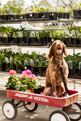 Hardware Store «Taylor’s Do it Center», reviews and photos, 2865 Lynnhaven Dr, Virginia Beach, VA 23451, USA