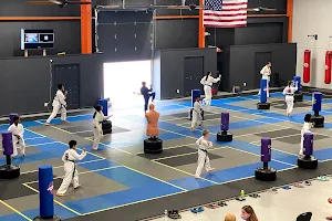 Twinsburg Karate Institute (TKI) image