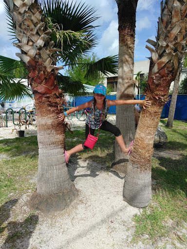 Aquarium «Clearwater Marine Aquarium», reviews and photos, 249 Windward Passage, Clearwater, FL 33767, USA