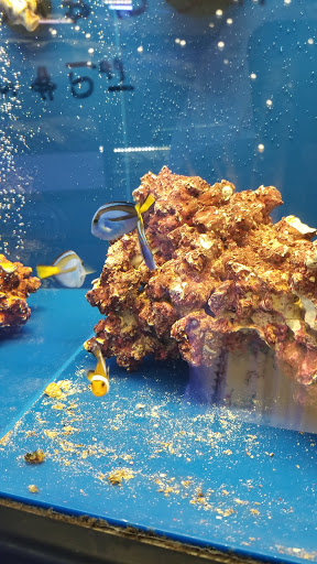 Tropical Fish Store «Sunset Pet & Supplies», reviews and photos, 1373 Sunset Blvd, Los Angeles, CA 90026, USA