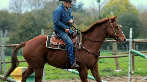 Centre équestre Centre Equestre de La Meilleraie Les Sorinières