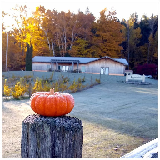 Winery «Laurentide Winery», reviews and photos, 56 S French Rd, Lake Leelanau, MI 49653, USA