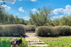 The Olive Fields - Secure Dog Park image