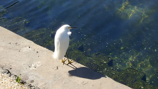 Park «Wall Springs Park», reviews and photos, 3725 Desoto Blvd, Palm Harbor, FL 34683, USA