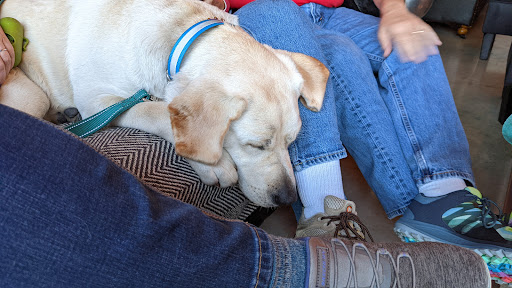 Winery «DUO Winery & Cider Co.», reviews and photos, 2150 Dickinson Ave, Dickinson, TX 77539, USA