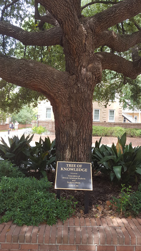 Book Store «University of South Carolina Bookstore», reviews and photos, 1400 Greene St, Columbia, SC 29225, USA