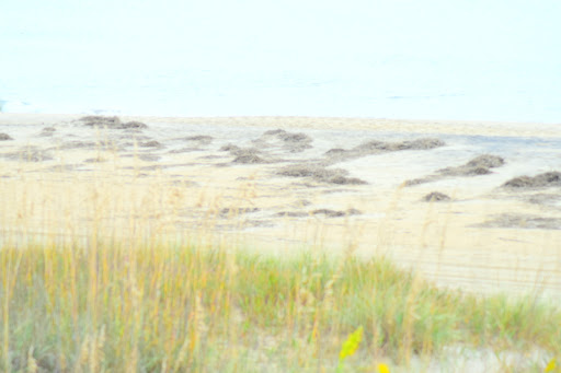 Bicycle Rental Service «Ocean Rentals Ltd.», reviews and photos, 577 Sandbridge Rd, Virginia Beach, VA 23456, USA