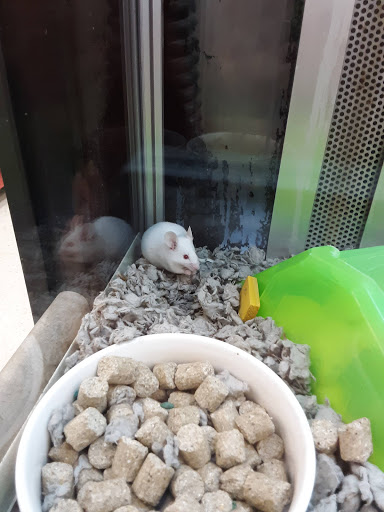 Pet Supply Store «Petco Animal Supplies», reviews and photos, 2575 Fairview Ave N, Roseville, MN 55113, USA