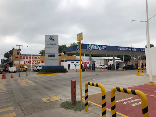 Estación de combustible alternativa Aguascalientes