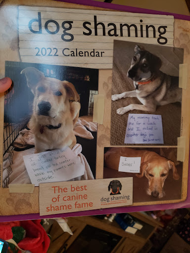 Book Store «Books-A-Million», reviews and photos, 1117 S Reed Rd, Kokomo, IN 46902, USA