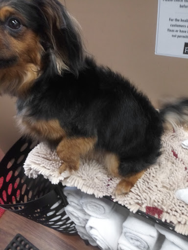 Pet Supply Store «Pet Valu», reviews and photos, 3491 Merchant Boulevard, Abingdon, MD 21009, USA