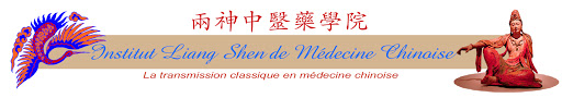 Institut Liang Shen de Médecine Chinoise Toulouse