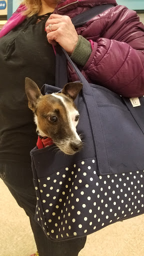 Pet Supply Store «PetSmart», reviews and photos, 711 US-41, Schererville, IN 46375, USA