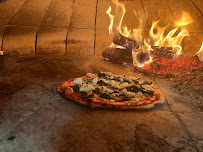 Plats et boissons du Delicia Pizza restaurant pizzeria au feu de bois à Saint-Martin-Lestra - n°1