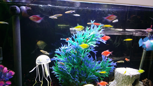 Pet Supply Store «Paws & Claws & Co», reviews and photos, 1801 E Market St, Warsaw, IN 46580, USA