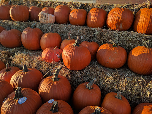 Grocery Store «Meijer», reviews and photos, 1900 E College Ave, Normal, IL 61761, USA