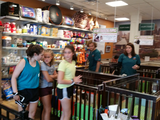 Pet Store «Charm City Puppies», reviews and photos, 8205 Snowden River Pkwy, Columbia, MD 21045, USA