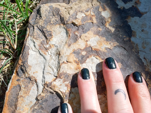 Nail Salon «Star Nails & Spa», reviews and photos, 411 S Main St, Searcy, AR 72143, USA