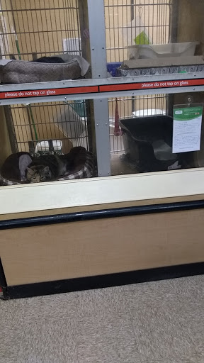 Pet Supply Store «PetSmart», reviews and photos, 12046 Paul Mayer Ave, Bridgeton, MO 63044, USA