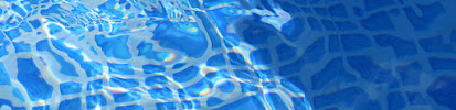Ameritex Pool Services - Photo 1 - Car repair in , League City