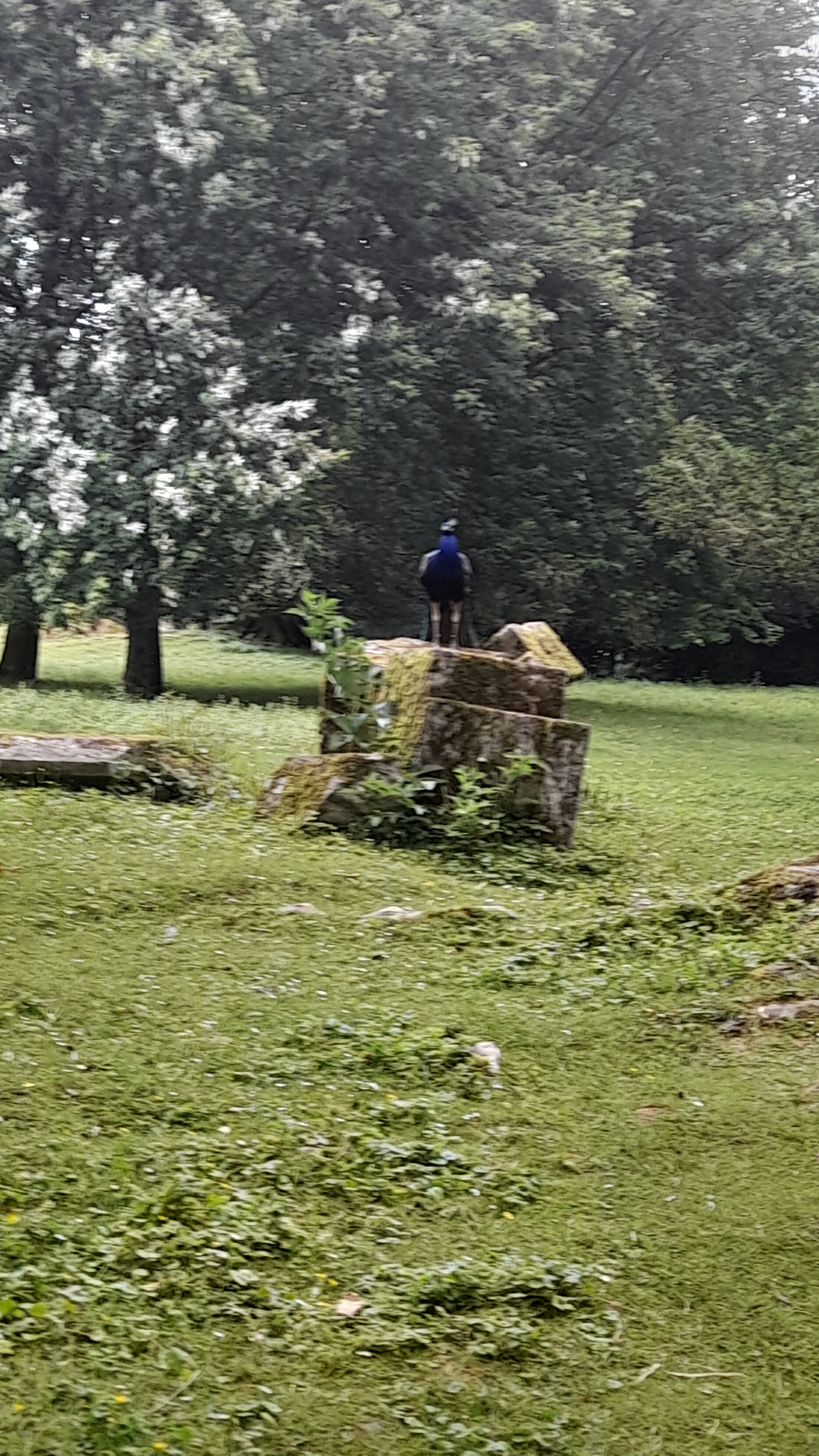 Photo n° 2 de l'avis de Bty.o fait le 12/07/2023 à 12:04