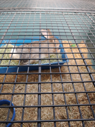 Pet Supply Store «Creative Pet Supply», reviews and photos, 305 N Harbor Blvd, San Pedro, CA 90731, USA