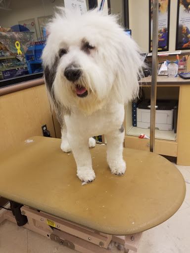 Pet Supply Store «PetSmart», reviews and photos, 1300 John F Kennedy Rd, Dubuque, IA 52002, USA