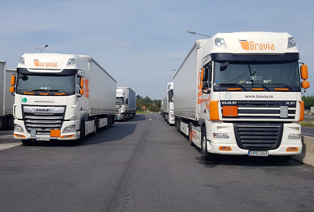 Opinii despre Bravia Group | Bravia Total & Bravia Logistics în <nil> - Servicii de mutare