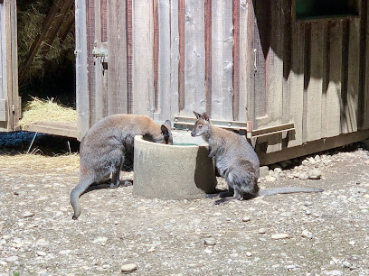 Tierpark Stadt Haag