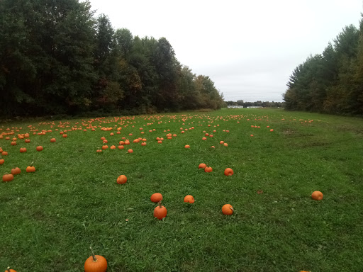 Historical Place «Connecticut Trolley Museum», reviews and photos, 58 N Rd, East Windsor, CT 06088, USA