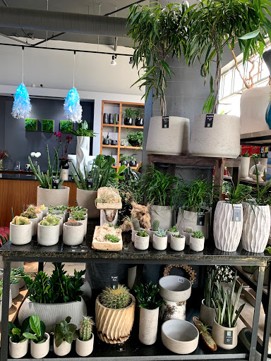 Florist «Red Square Flowers», reviews and photos, 337 W Mifflin St, Madison, WI 53703, USA