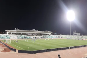 Hamad bin Khalifa Stadium image