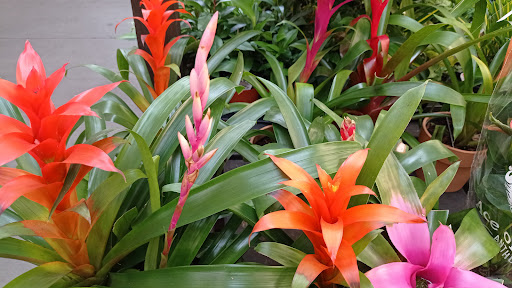 Home Improvement Store «The Home Depot», reviews and photos, 1101 Sunrise Hwy, Copiague, NY 11726, USA