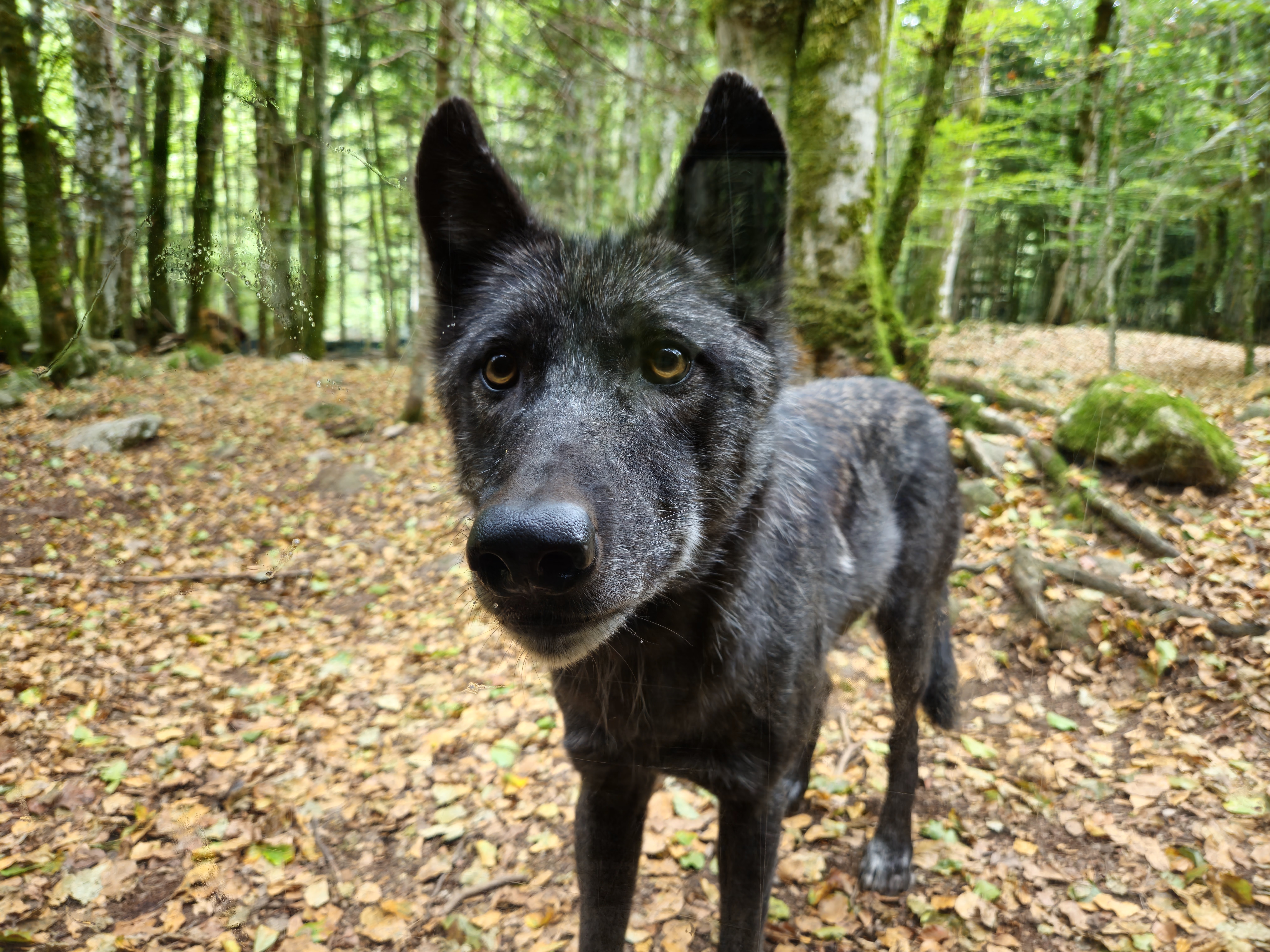 Photo n° 1 de l'avis de Michael.A fait le 09/09/2023 à 14:32