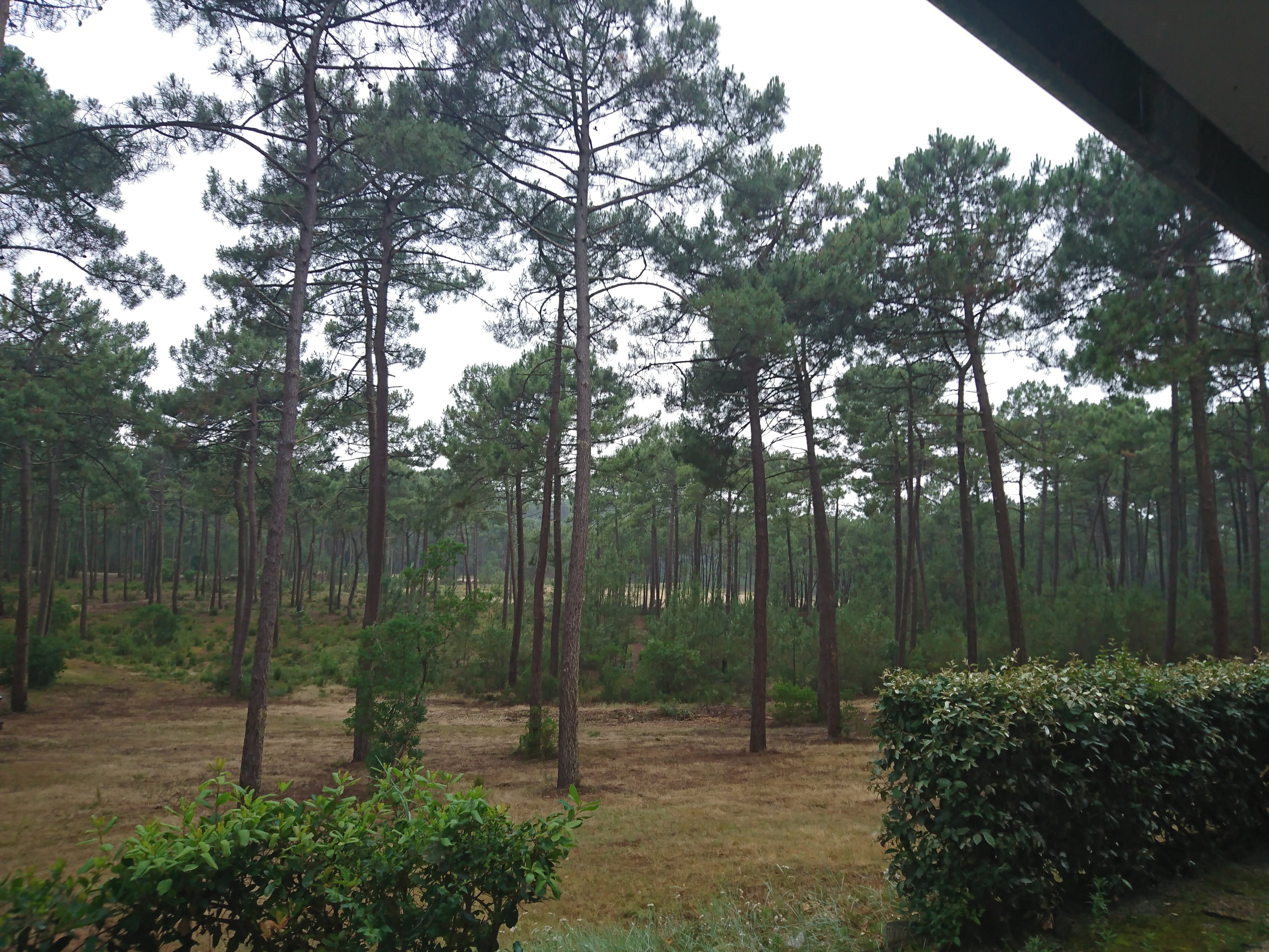 Photo n° 1 de l'avis de karine.o fait le 04/07/2019 à 16:33