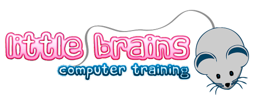 Little Brains Computer Training for Kids