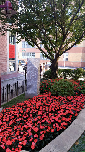 Arts Organization «SoWa Art + Design District», reviews and photos, 450 Harrison Ave, Boston, MA 02118, USA