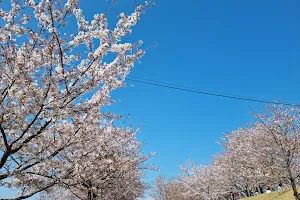 Sakuranoyama Park image