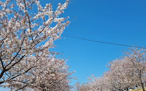 Sakuranoyama Park image