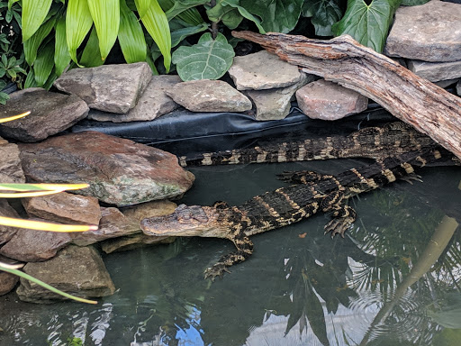 Greenhouse «Wentworth Greenhouses», reviews and photos, 141 Rollins Rd, Rollinsford, NH 03869, USA