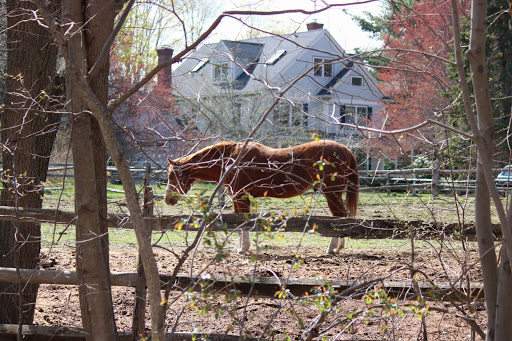 Park «Depot Park», reviews and photos, 120 South Rd, Bedford, MA 01730, USA