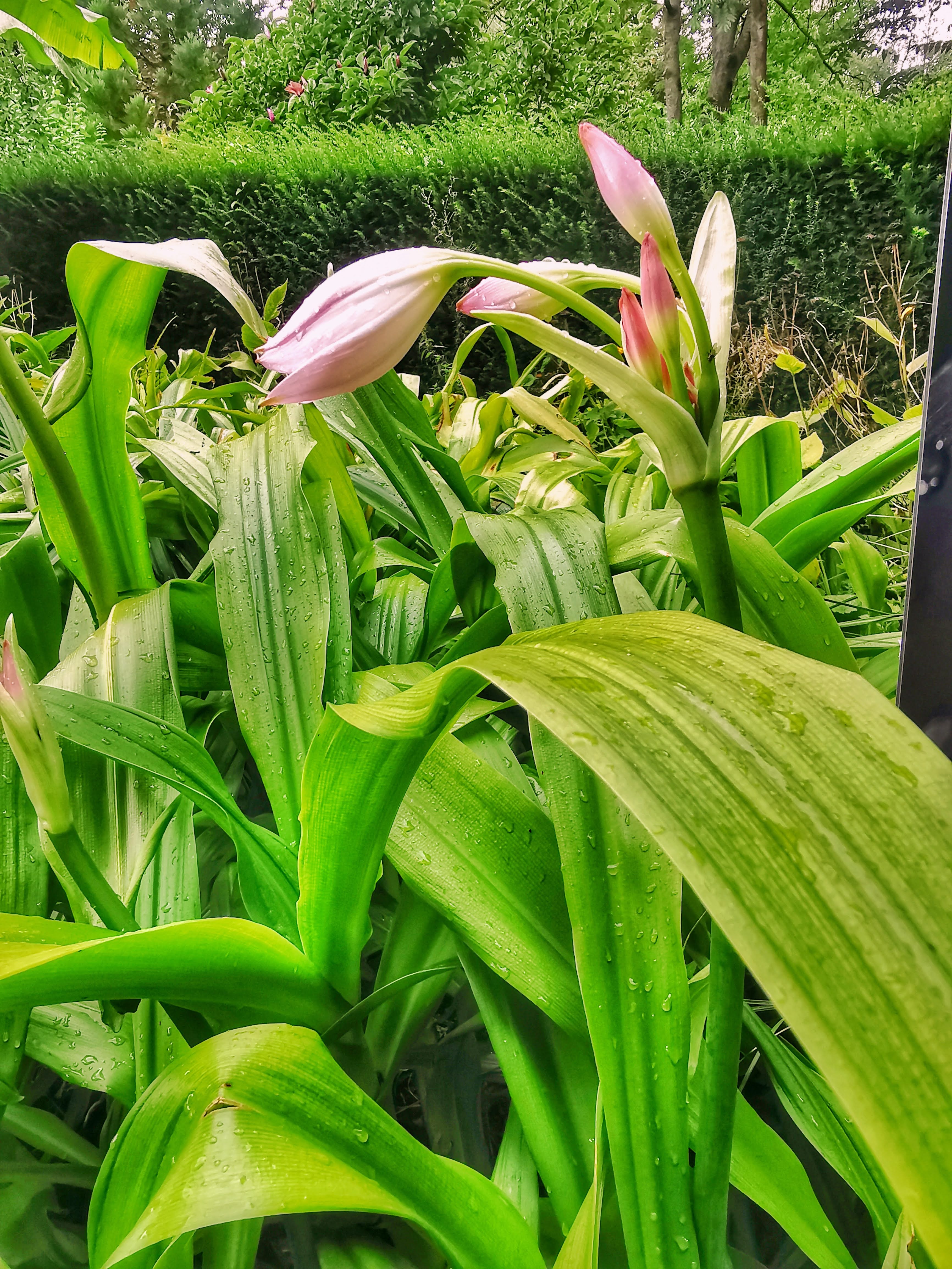 Photo n° 7 de l'avis de Eléonore.i fait le 26/08/2020 à 05:52